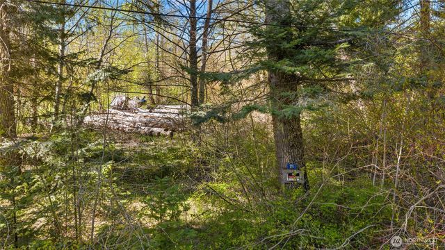 541 Heron Drive, Cle Elum, WA 98922