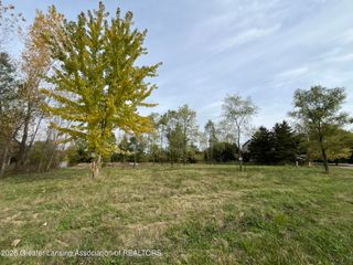 Lot 18 Amy Lane, Mulliken, MI 48861