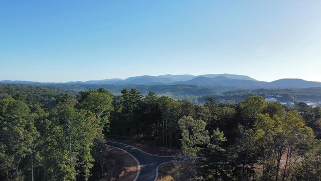 49 Pinnacle Way, Ellijay, IA 50512
