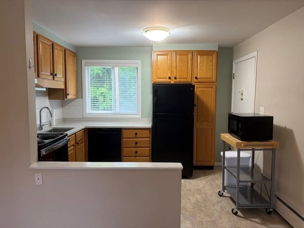 81 Lionel Ave C, Waltham, MA 02452