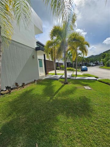 686 BURGOS, Caguas, PR 00725