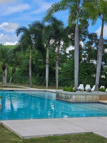 686 BURGOS, Caguas, PR 00725