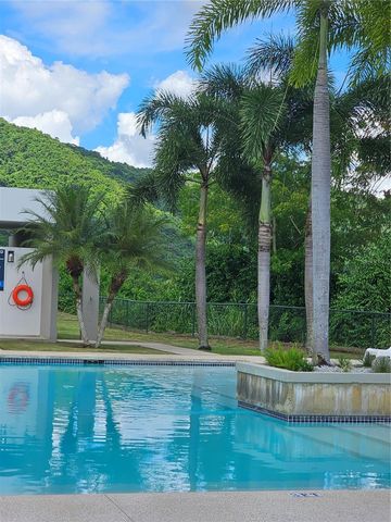 686 BURGOS, Caguas, PR 00725