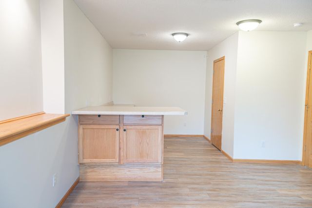 343 Pendryn Hill Curve, Woodbury, MN 55125