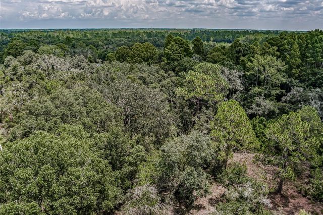 401 INDIAN MEADOW COURT, Wimauma, FL 33598