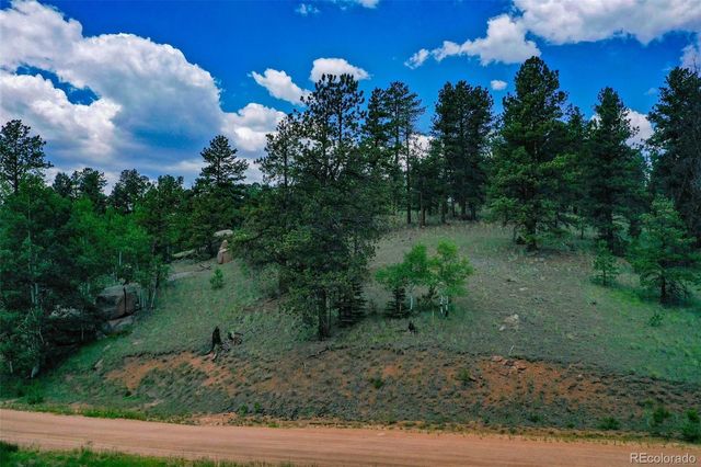 525 Spring Valley Lane, Florissant, CO 80816