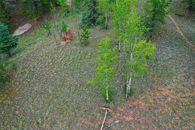 525 Spring Valley Lane, Florissant, CO 80816