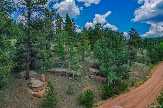 525 Spring Valley Lane, Florissant, CO 80816
