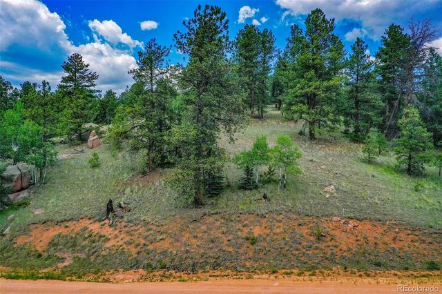 525 Spring Valley Lane, Florissant, CO 80816