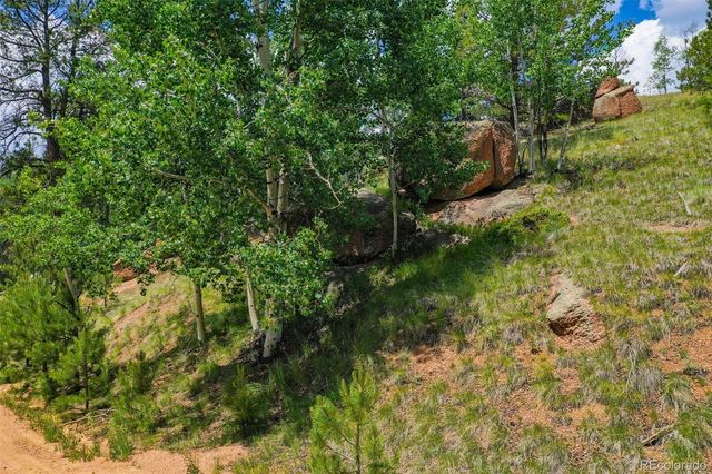 525 Spring Valley Lane, Florissant, CO 80816