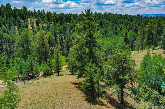 525 Spring Valley Lane, Florissant, CO 80816