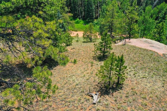 525 Spring Valley Lane, Florissant, CO 80816