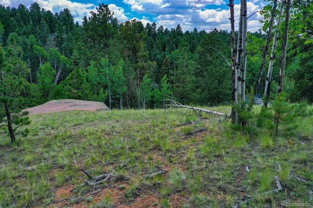 525 Spring Valley Lane, Florissant, CO 80816