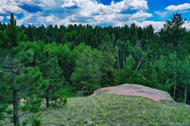 525 Spring Valley Lane, Florissant, CO 80816