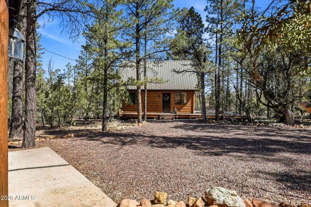 2028 JONES PASS --, Overgaard, AZ 85933