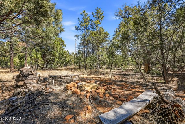 2028 JONES PASS --, Overgaard, AZ 85933