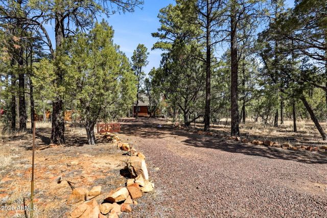 2028 JONES PASS --, Overgaard, AZ 85933