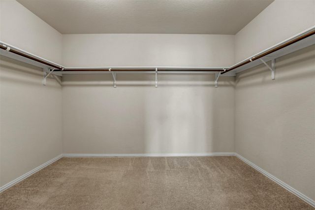 13313 Arbor Hill CV, Manor, TX 78653