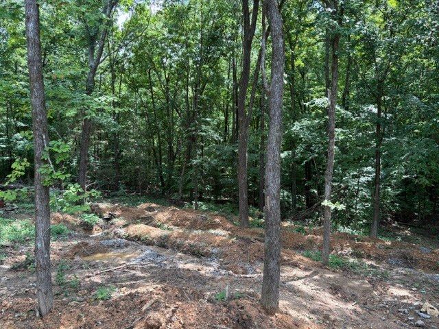 142 Poling Drive, Pulaski, TN 38478