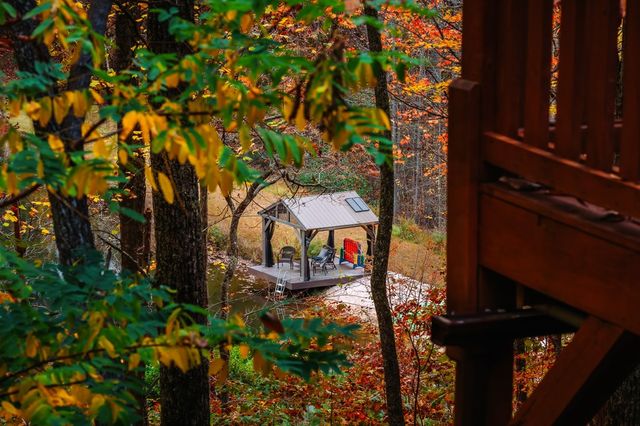 218 Mattie Mitchell Road, Morganton, GA 30560