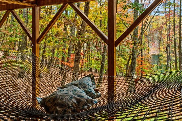 218 Mattie Mitchell Road, Morganton, GA 30560