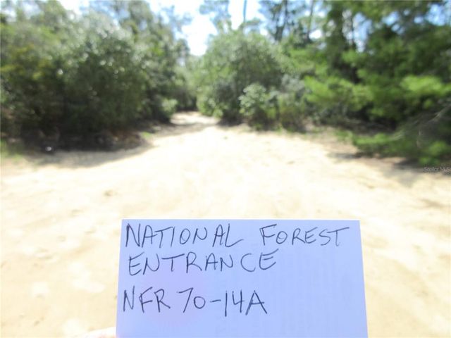 15960 NE 231ST STREET, Fort Mc Coy, FL 32134