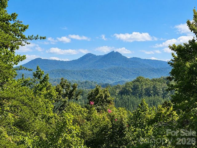 715 Boland Drive, Lake Lure, NC 28746