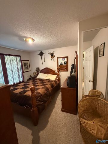 1808 Union Grove Road, Guntersville, AL 35976