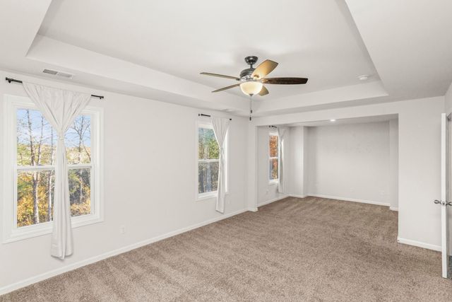 4221 Grapevine Loop, Smyrna, TN 37167