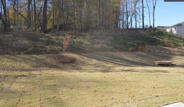 59 Osprey Overlook Dr, Braselton, GA 30517