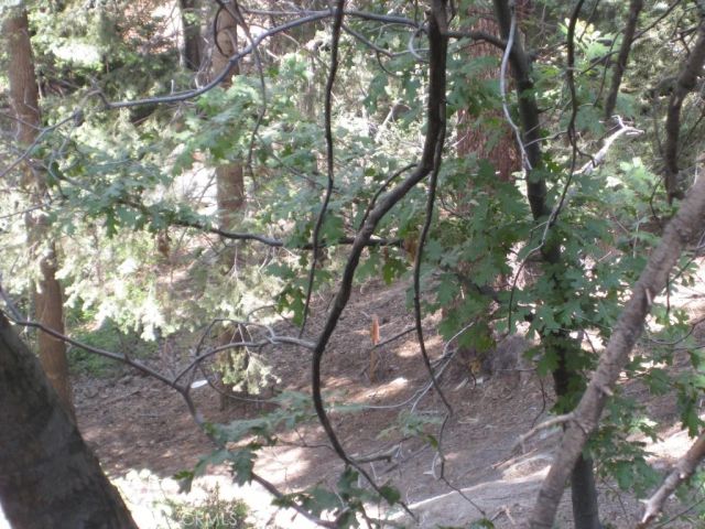 0 Forest, Twin Peaks, CA 92391