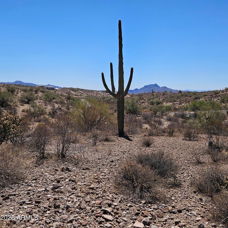 00000 N Sandy Bluff Road 15, Fort McDowell, AZ 85264 — photo 4