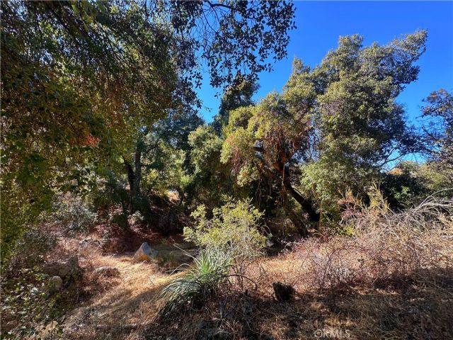 28618 Chihuahua Valley Road, Warner Springs, CA 92086