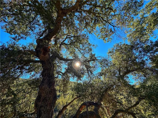 28618 Chihuahua Valley Road, Warner Springs, CA 92086