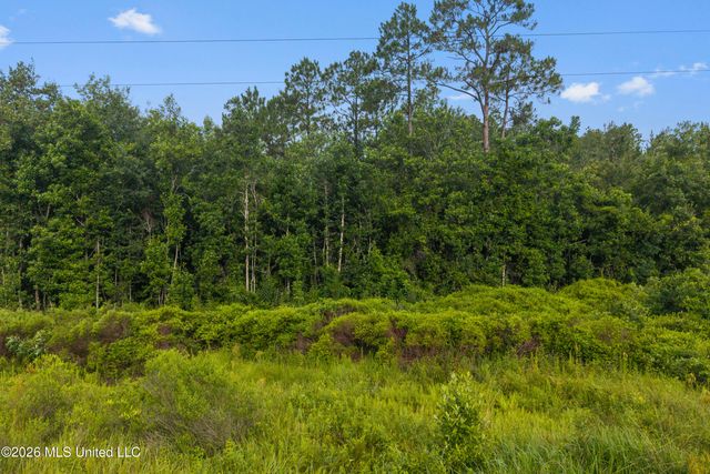 Spring Briar Trail, Saucier, MS 39574