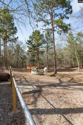 3562 Calks Ferry Rd, Pelion, SC 29123