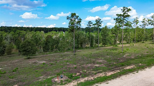 0 Dove Hill Cir, Livingston, TX 77351