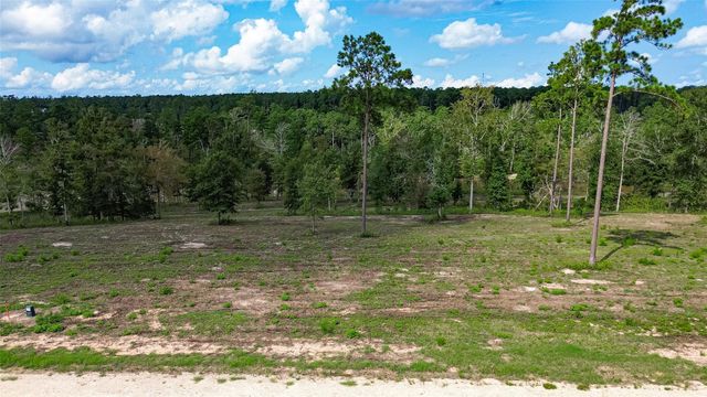 0 Dove Hill Cir, Livingston, TX 77351