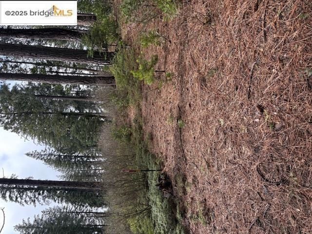 25728 Upper Scenic DR, Long Barn, CA 95335