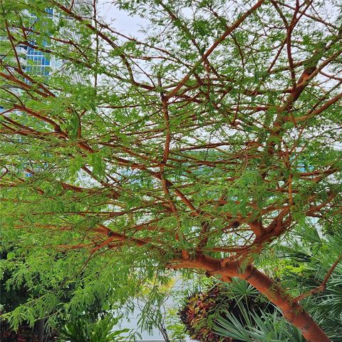 950 Brickell Bay Dr 4108, Miami, FL 33131