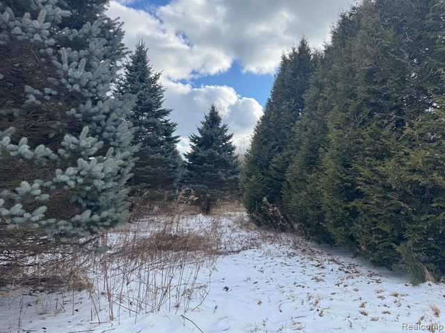 00 Remer Road, East China, MI 48054