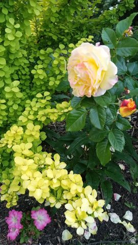 2707 S POLK AVE, Ogden, UT 84403