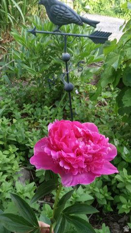 2707 S POLK AVE, Ogden, UT 84403