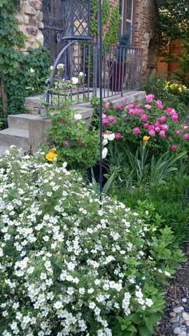 2707 S POLK AVE, Ogden, UT 84403