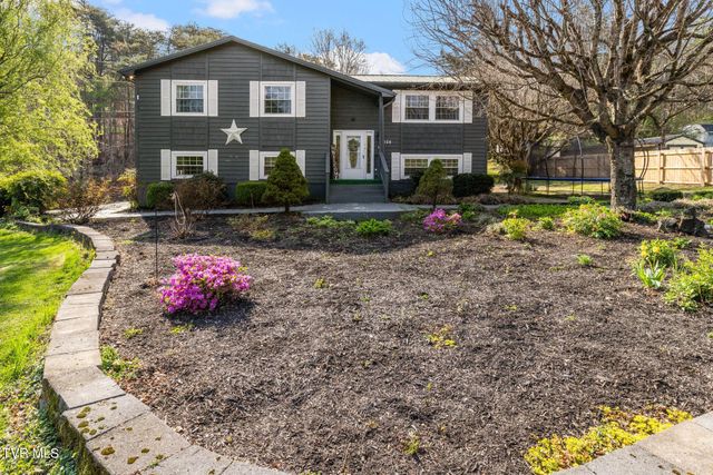 524 Mountain View Drive, Piney Flats, TN 37686