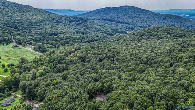 1231 Dug Hill Road, Brownsboro, AL 35741