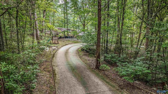 1231 Dug Hill Road, Brownsboro, AL 35741