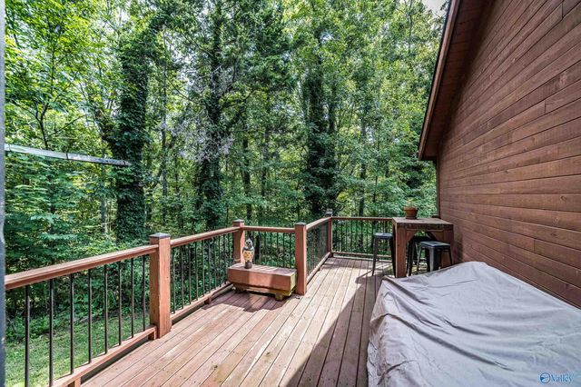 1231 Dug Hill Road, Brownsboro, AL 35741
