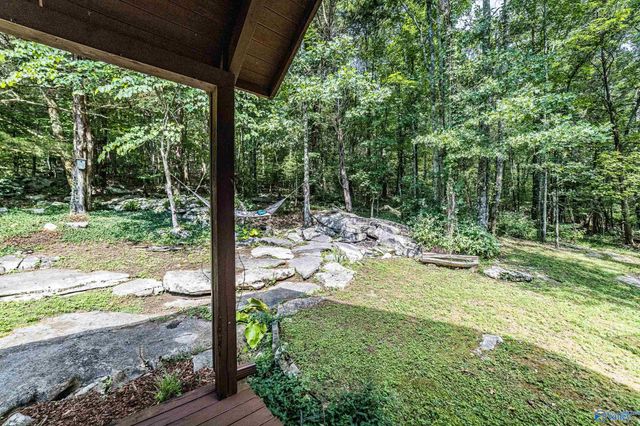 1231 Dug Hill Road, Brownsboro, AL 35741