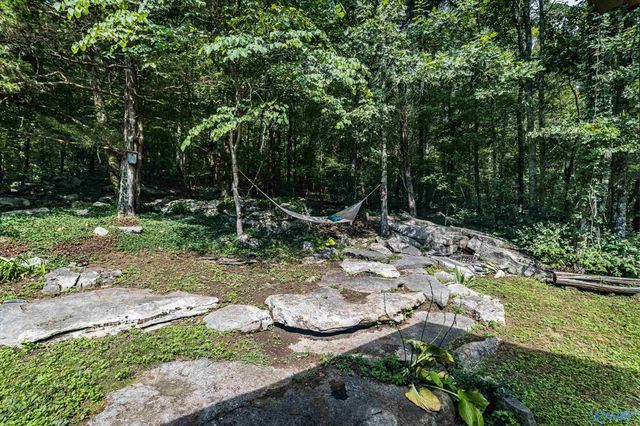 1231 Dug Hill Road, Brownsboro, AL 35741